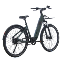 Brinckers BRNO het nieuwe rijden 