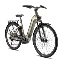 Besv TR 1.1 een ware krachtpatser met 12 versnellingen + 720Wh accu 