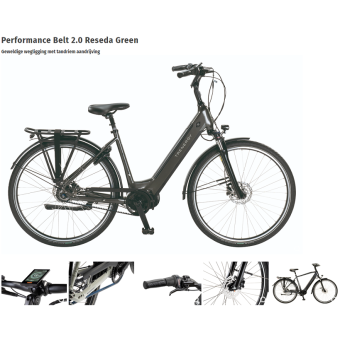 Trenergy Performance Belt N8