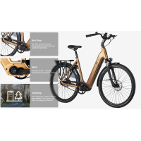 van Dijck Kronos N7  5 jaar garantie op motor 