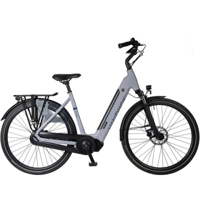 van Dijck Triton Hypershift standaard 700 Wh -- 5 jr garantie op motor van Dijck Triton Hypershift standaard 700 Wh -- 5 jr garantie op motor